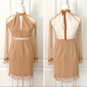 San Joy Pearl Embellished Mesh Dress